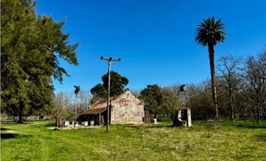 Campo en venta de 122 Has. mixto en Ranchos
