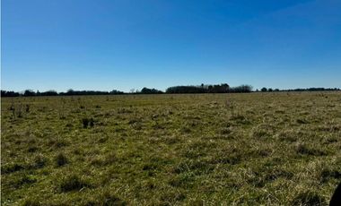 Campo en venta de 122 Has. mixto en Ranchos