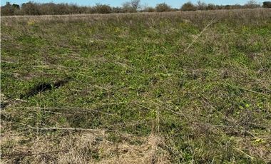 Campo en venta de 122 Has. mixto en Ranchos