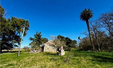 Campo en venta de 122 Has. mixto en Ranchos