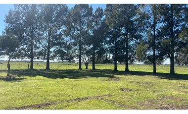 Campo en venta de 10 Has sobre ruta en Ranchos