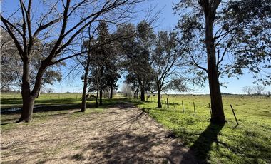 Campo en venta de 10 Has sobre ruta en Ranchos