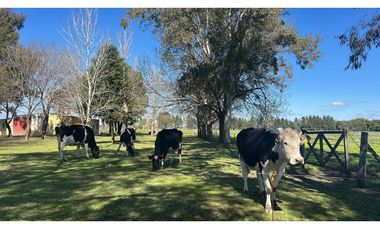 Campo en venta de 10 Has sobre ruta en Ranchos