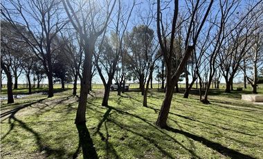 Campo en venta de 10 Has sobre ruta en Ranchos
