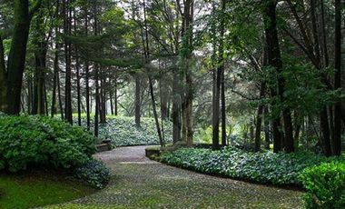 Departamento en venta en Olivar de los Padres