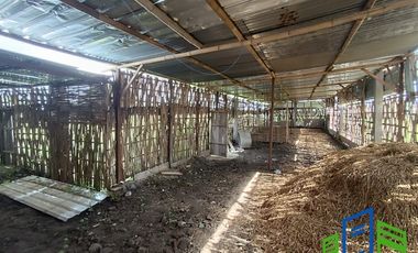 Rumah Mewah 2 pemandangan sawah dekat obyek wisata Janti Klaten