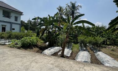 Tanah shm view sawah & sungai di jakal km10 selatan pasar gentan