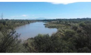 VENDO CAMPO 300 HECTAREAS RUTA 143 GENERAL ALVEAR MENDOZA