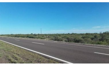 VENDO CAMPO 300 HECTAREAS RUTA 143 GENERAL ALVEAR MENDOZA