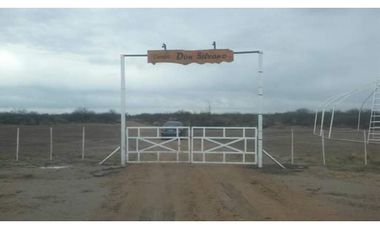 VENDO CAMPO 300 HECTAREAS RUTA 143 GENERAL ALVEAR MENDOZA