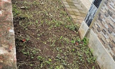 JUAL VILLA MURAH lantai 2 denbantas tabanan