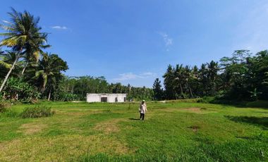 Area Donomulyo; dekat Polsek Sentolo; SHMP