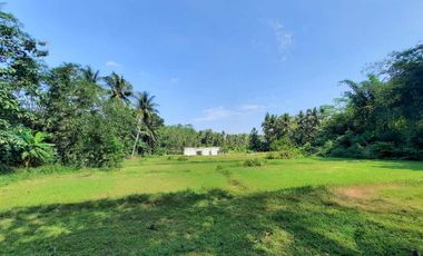 Area Donomulyo; dekat Polsek Sentolo; SHMP