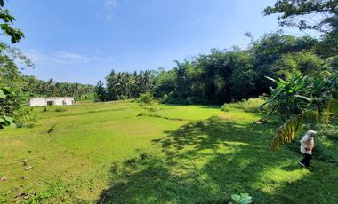 Area Donomulyo; dekat Polsek Sentolo; SHMP