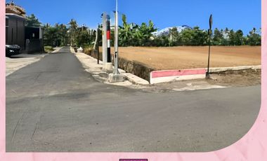 Tanah Jogja Area Kampus UII, View Sawah dan Merapi