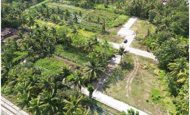 Tanah Murah di Sentolo Dekat Bandara YIA