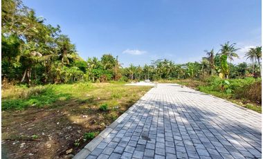 Tanah Murah di Sentolo Dekat Bandara YIA