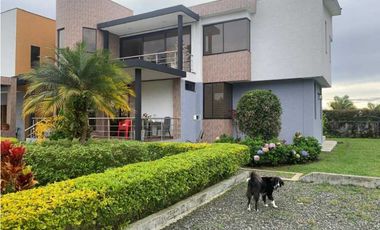 VENTA DE FINCA FILANDIA QUINDIO