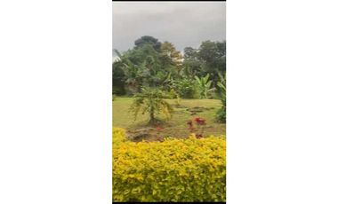 VENTA DE FINCA FILANDIA QUINDIO