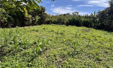 Terreno económico a la venta