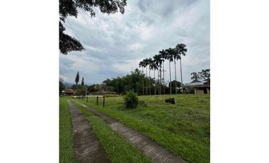 SE VENDE FINCA CERCA A LA VIRGINIA