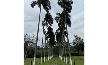 SE VENDE FINCA CERCA A LA VIRGINIA