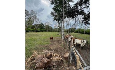 SE VENDE FINCA CERCA A LA VIRGINIA