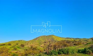 Sitio en Venta en Condominio La Reserva