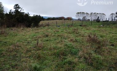 Parcela en Venta en Rio Bueno, sector Boquial 1