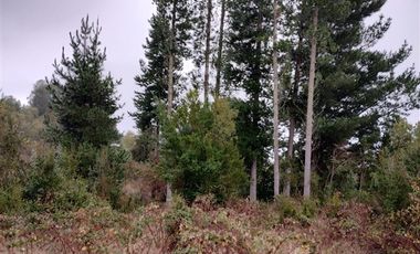 Parcela en Venta en Rio Bueno, sector Boquial 1