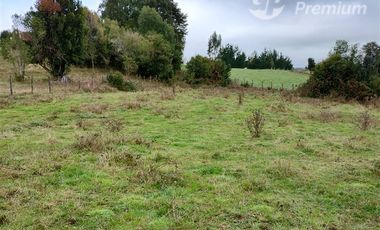 Parcela en Venta en Rio Bueno, sector Boquial 1