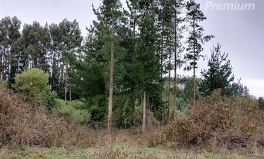 Parcela en Venta en Rio Bueno, sector Boquial 1