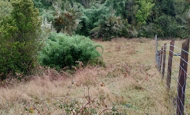 Parcela en Venta en Rio Bueno, sector Boquial 1