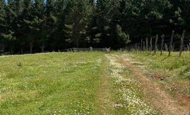 Parcela en Venta en La Union, sector Putraro