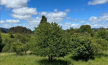 Parcela en Venta en La Union, sector Putraro