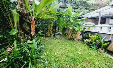 Rumah Mewah Luas Asri Ada Halaman & Taman di Tengah Kota Solo