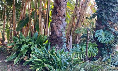 ARRIENDO - Vive Diferente: Casa con Jardines Exóticos, Laguna y Piscina