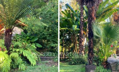 ARRIENDO - Vive Diferente: Casa con Jardines Exóticos, Laguna y Piscina