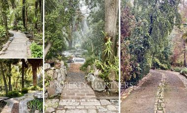 ARRIENDO - Vive Diferente: Casa con Jardines Exóticos, Laguna y Piscina