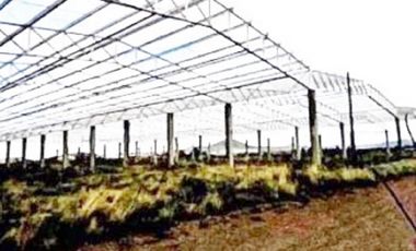 Propiedad Industrial en Venta - Ciudad Sahagún