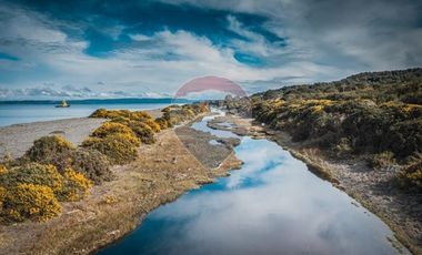 Oportunidad en Chiloé: Isla Tranqui 21,45 Ha