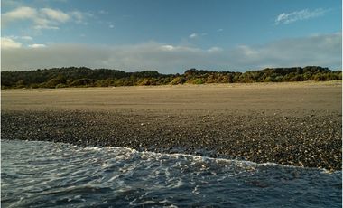Oportunidad en Chiloé: Isla Tranqui 21,45 Ha