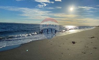 Oportunidad en Chiloé: Isla Tranqui 21,45 Ha