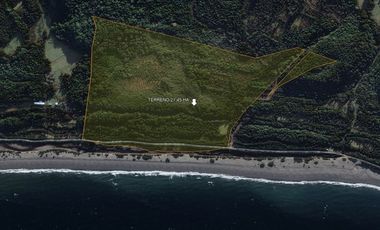 Oportunidad en Chiloé: Isla Tranqui 21,45 Ha