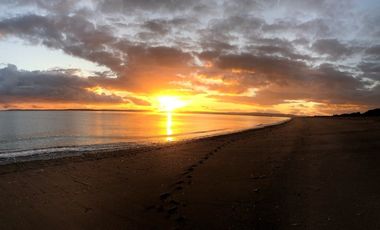 Oportunidad en Chiloé: Isla Tranqui 21,45 Ha