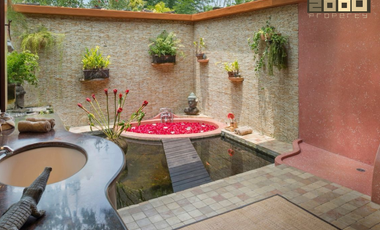 Spacious Villa with Private Forest & Riverfront – Cepaka, Bali