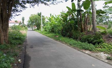 Tanah strategis murah dekat Suciati Sleman