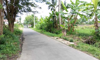 Tanah strategis murah dekat Suciati Sleman