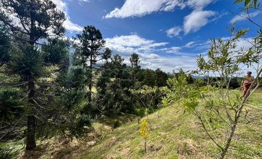 🏡 LOTE EN VENTA UBICADO EN EL RETIRO SECTOR EL CHUZCAL