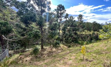 🏡 LOTE EN VENTA UBICADO EN EL RETIRO SECTOR EL CHUZCAL